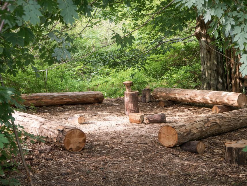 grünes Klassenzimmer