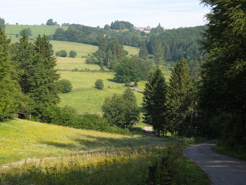Im Naturpark Hohes Venn