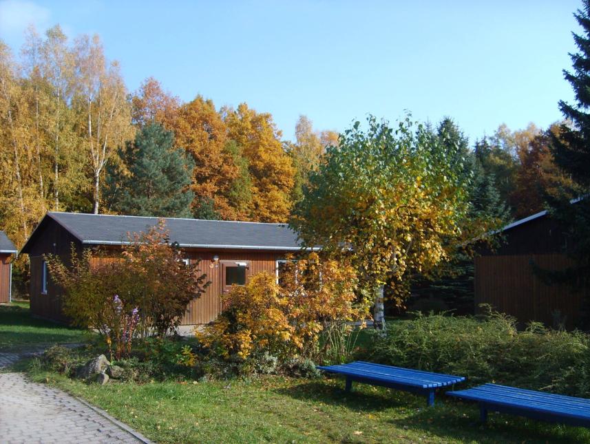 ERNA im Herbst