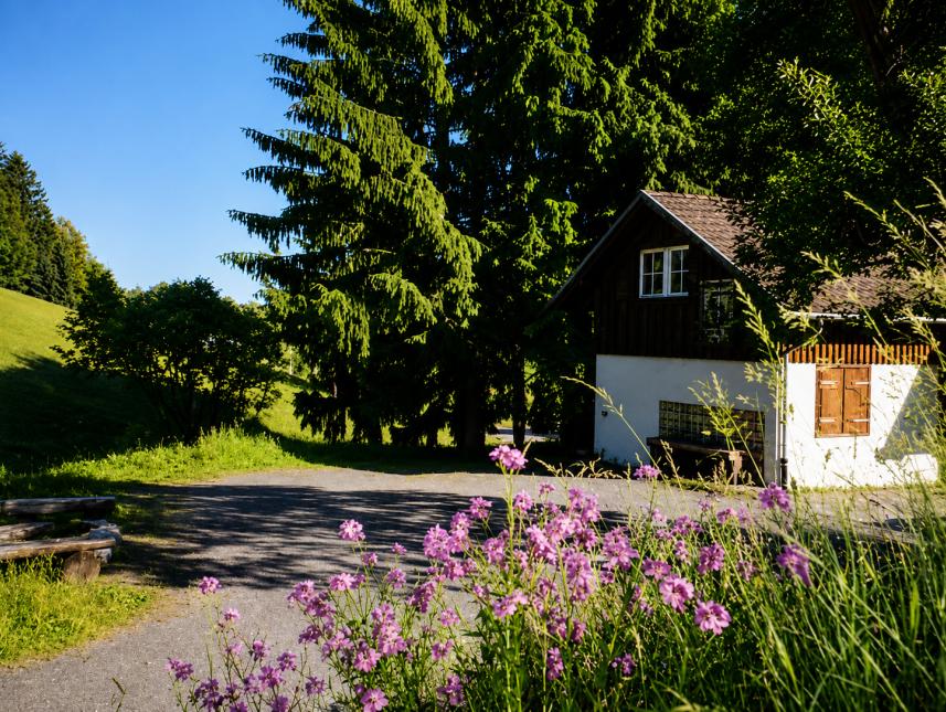 Moosybärhütte in Todtmoos - Schwarzwald