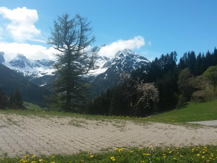 Traumhafte Aussicht im Frühjahr