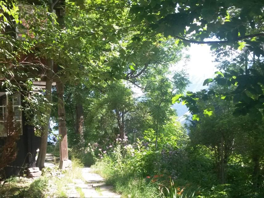 Der wunderschöne Garten