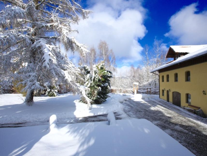 Ferienhaus Landhaus St.Oswald im Winter