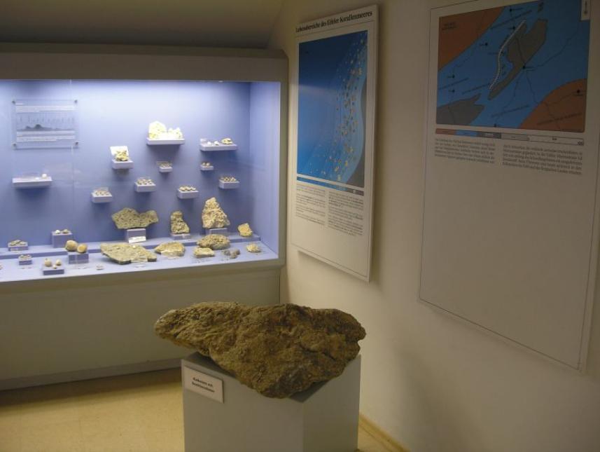 Alte Schmiede / Haus der Fossilien am Naturzentrum Eifel