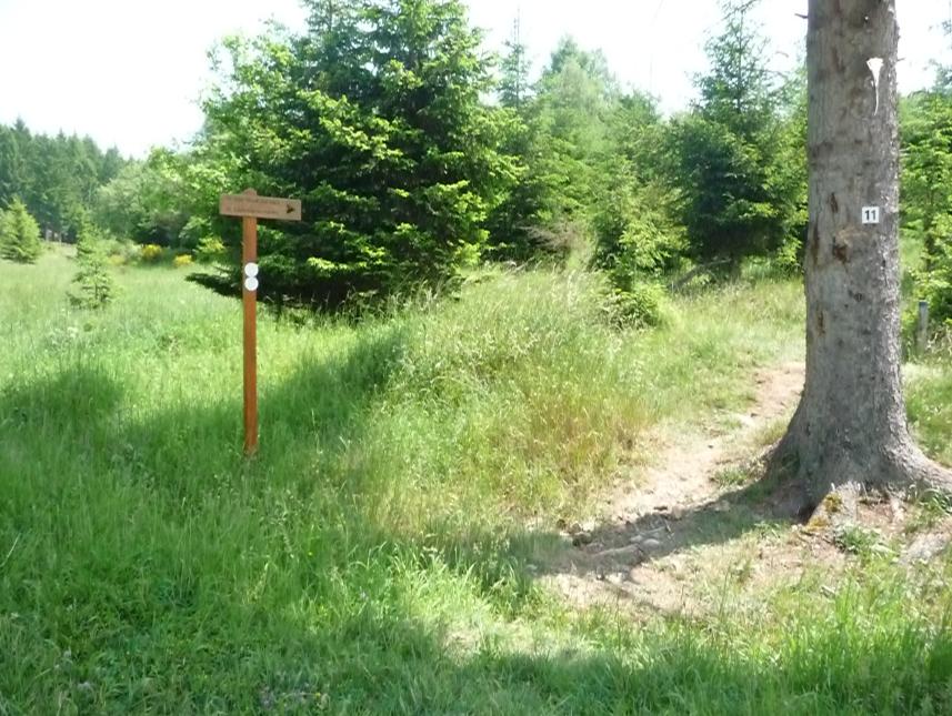 Löwenzahn-Erlebnispfad mit 20 spannenden Stationen