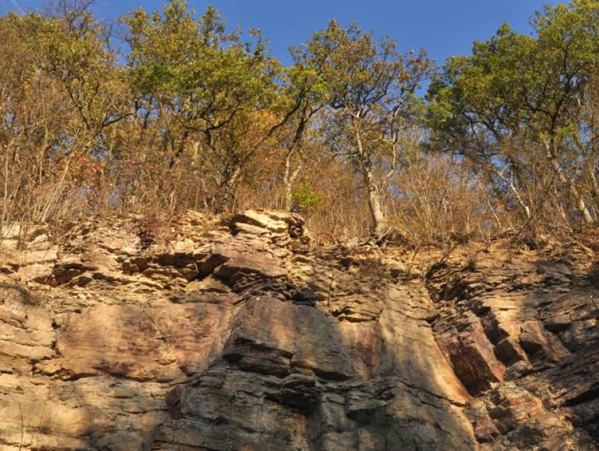 Versteinertes Korallenriff an den historischen Werkhäusern in Nettersheim