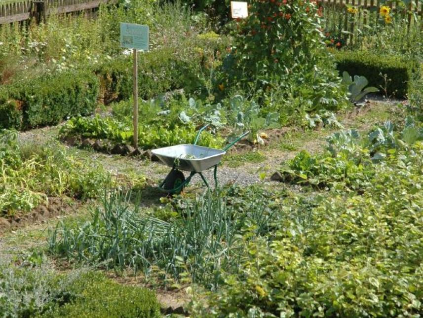 Bauerngarten am Naturzentrum Eifel