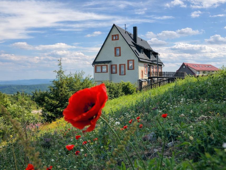 Unsere Jugendherberge befindet sich direkt auf dem Großen Inselsberg