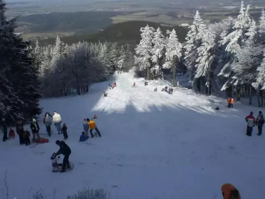 Rodelwiese 200m entfernt