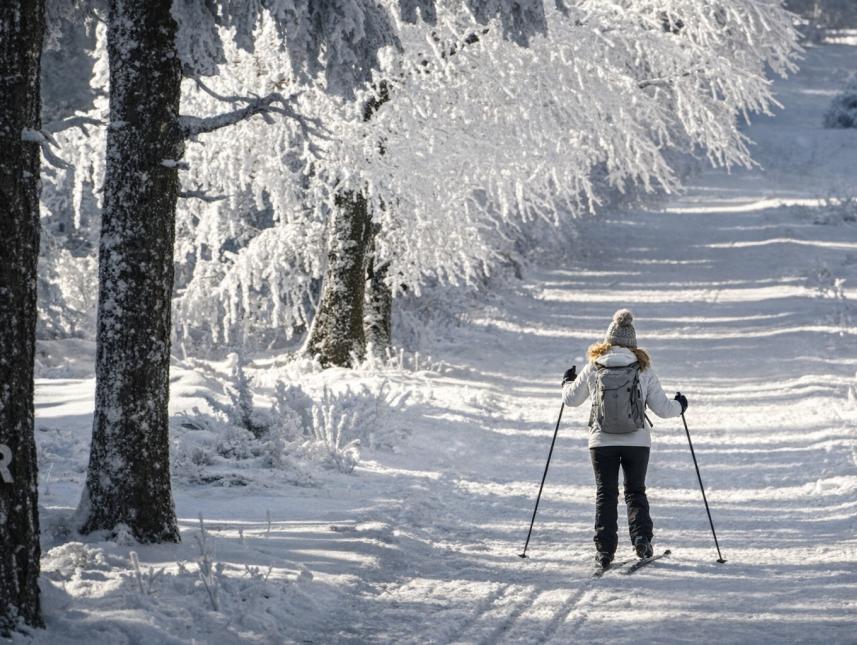 Langlaufloipe vor der Haustür