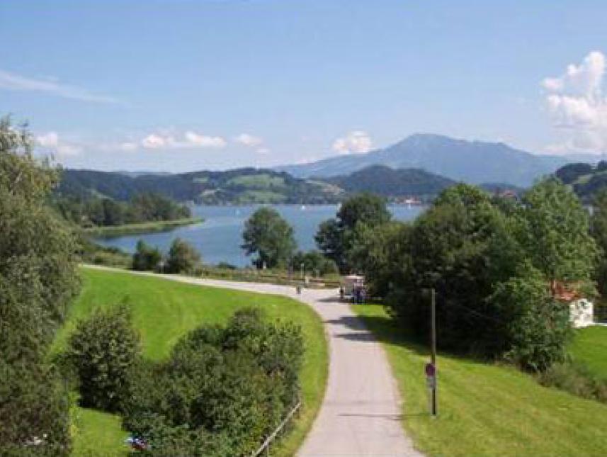 Blick vonHaus auf den Großen Alpsee