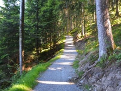 Schöner 4km langer Rundweg - für Freizeit & Sport- direkt ab der Hütte