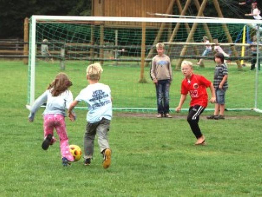 Fußballplatz, Bolzplatz