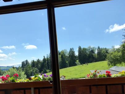 Freizeithaus Allmannsried - Blick aus dem Fenster