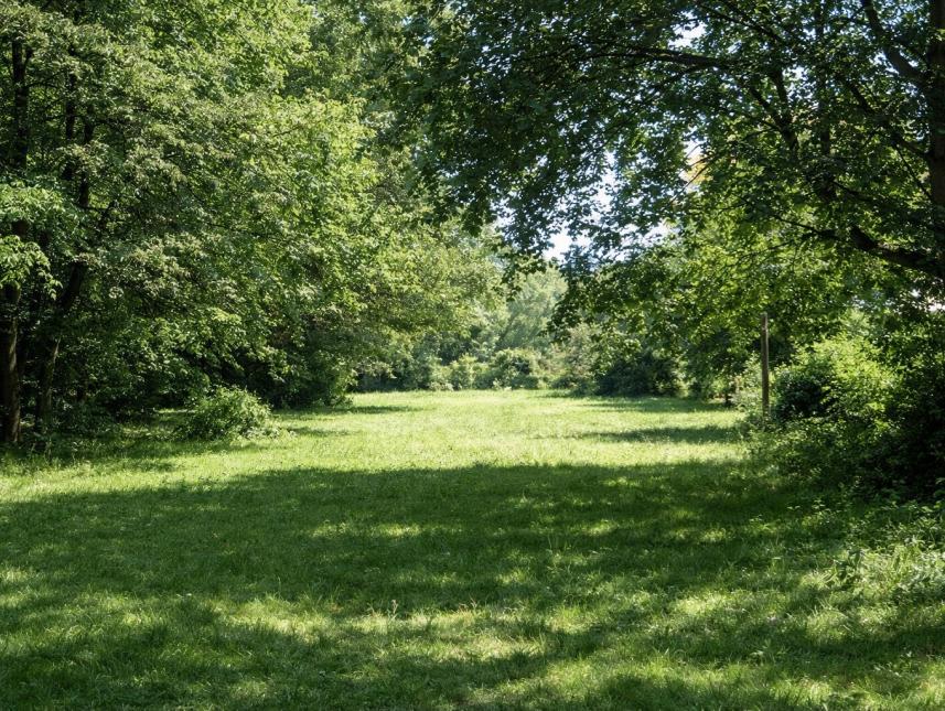 Parkwiese neben dem Haus, bis zu 100 Personen