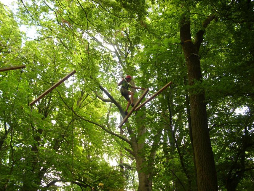 Eigener Hochseilgarten
