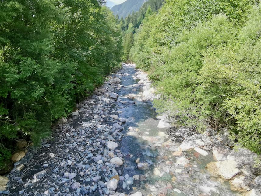 Umgebung