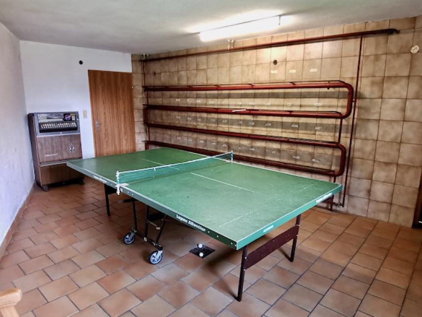 Tischtennisplatte
