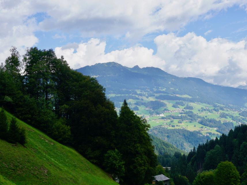 Bergblick