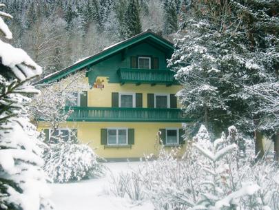 Ferienhaus Ski amadé