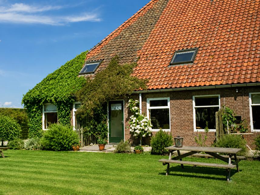 Terrasse und Außenbereich