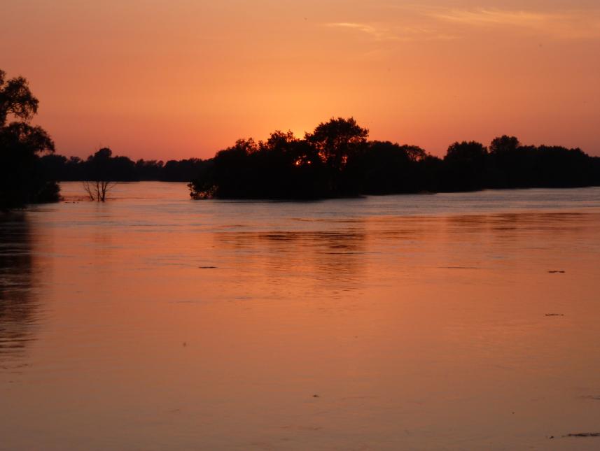 Sommerabend an der Elbe