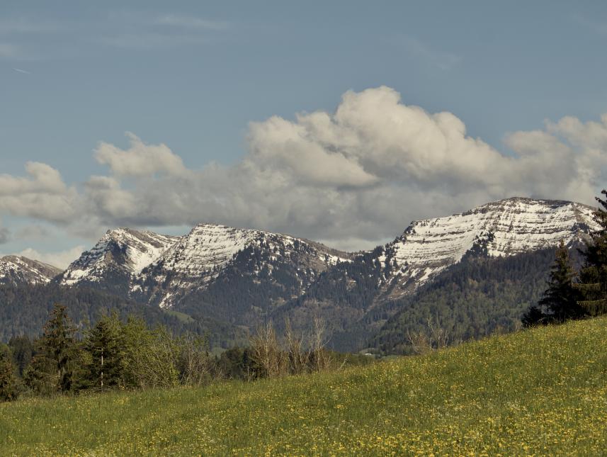 Hochgrat Frühjahr