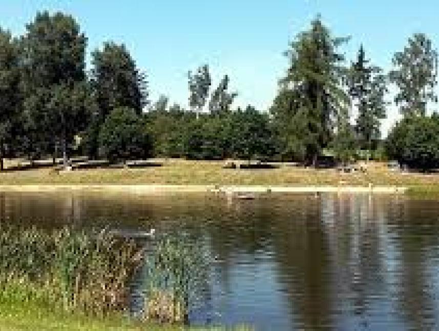 kostenfreier Badesee 10 Fahrminuten