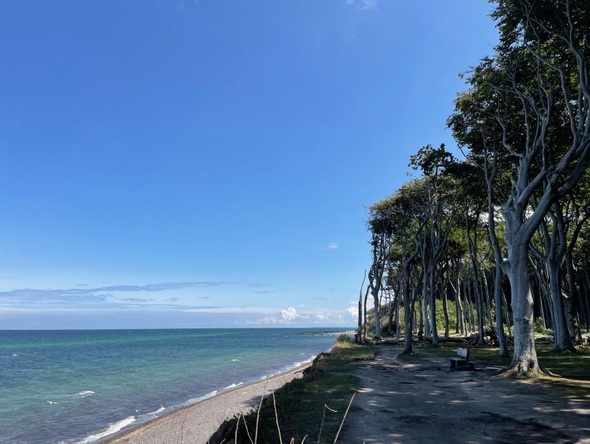 Deine Auszeit am Meer beginnt genau hier