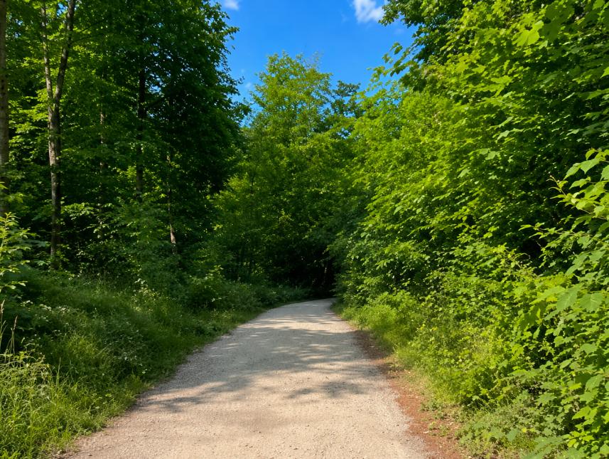 Rad- und Wanderwege direkt vor der Pension