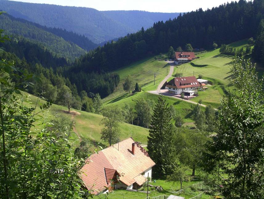 Die Lage von Seewald-Besenfeld (800 m ü. M.)