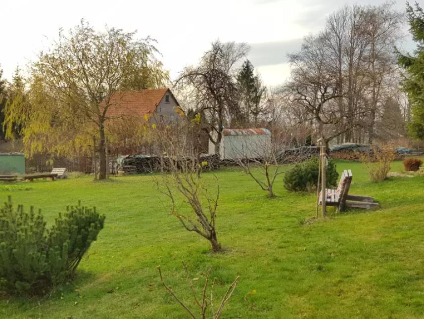 Garten hinter dem Haus