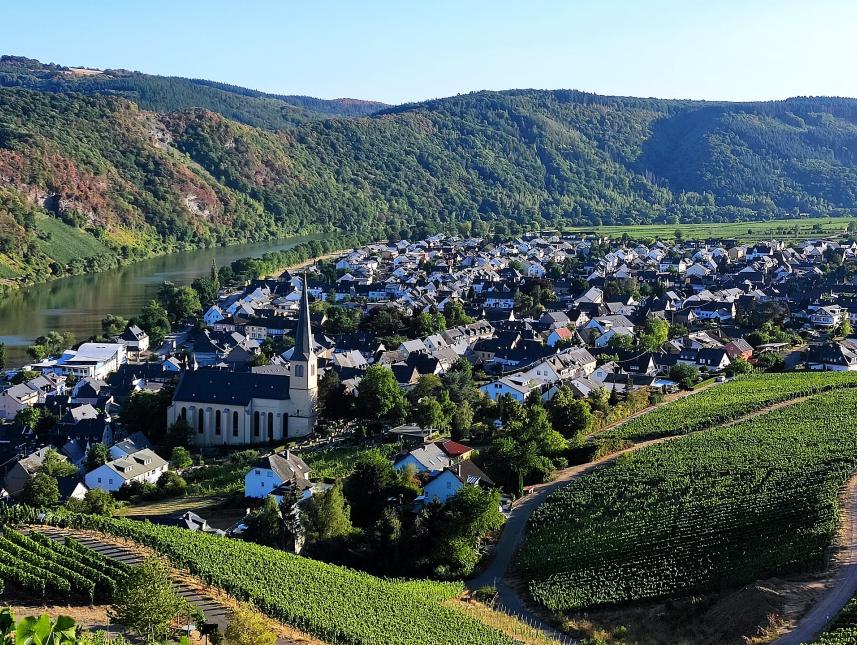 Wein- und Ferienort Kröv im Herzen der Mittelmosel