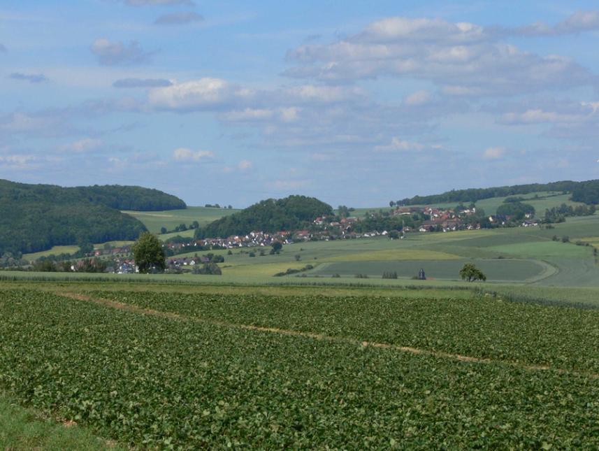 Blick auf Wabern-Falkenberg