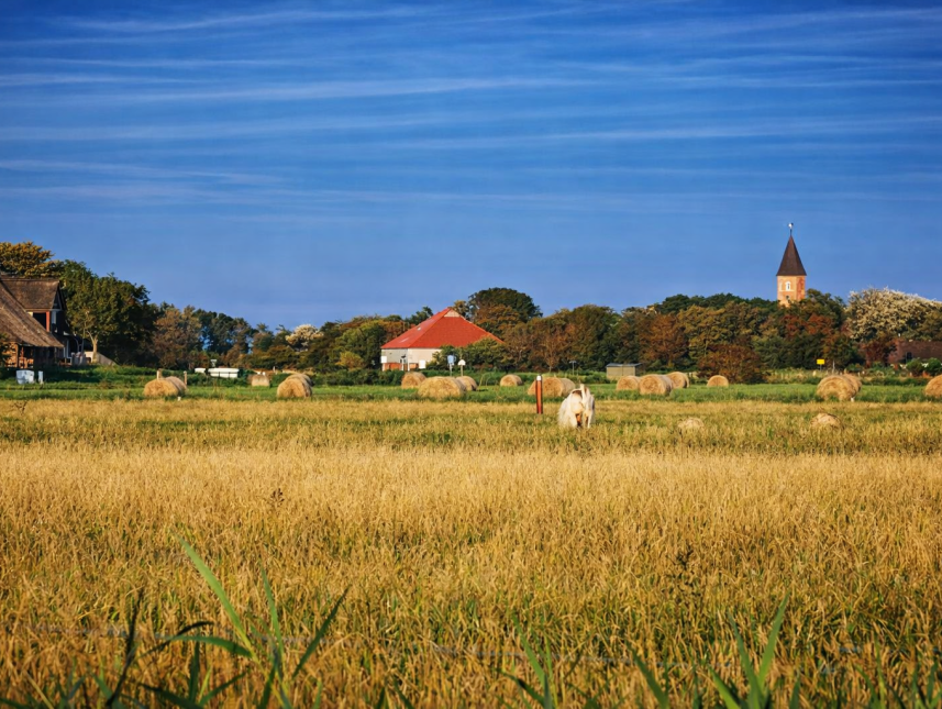 Westerhever, Dorf an der Nordsee, im Nordwesten der Halbinsel Eiderstedt 