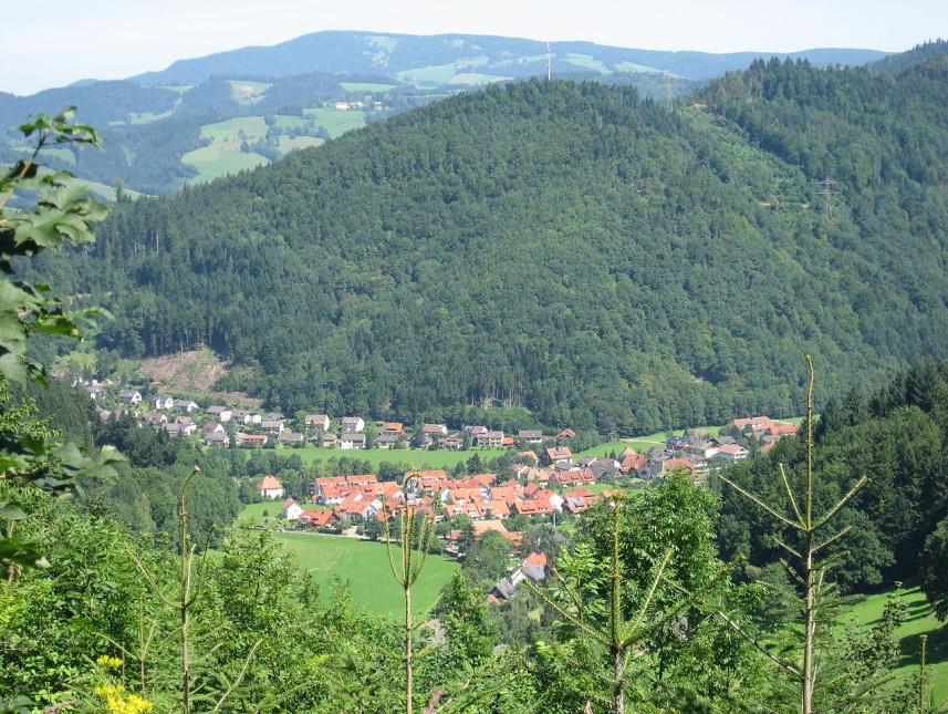 Buchenbach im Dreisamtal
