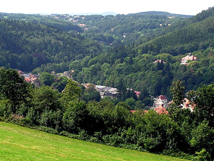 Blick in das Gottleubatal und auf Bad Gottleuba