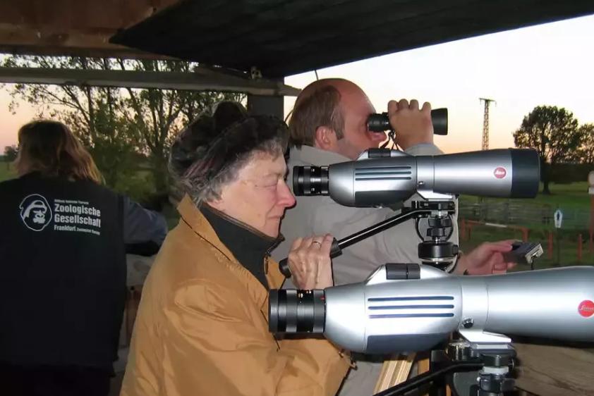 Elbe-Safari zu den "big five" - Biber, Otter, Storch, Kranich, Adler