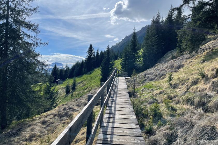 Hängebrückenrundweg