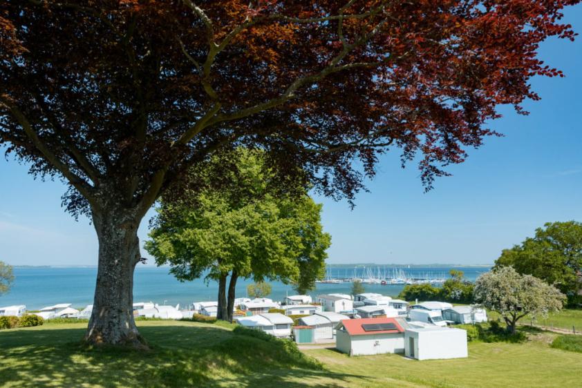 Aussicht über den Campingplatz bis nach Dänemark