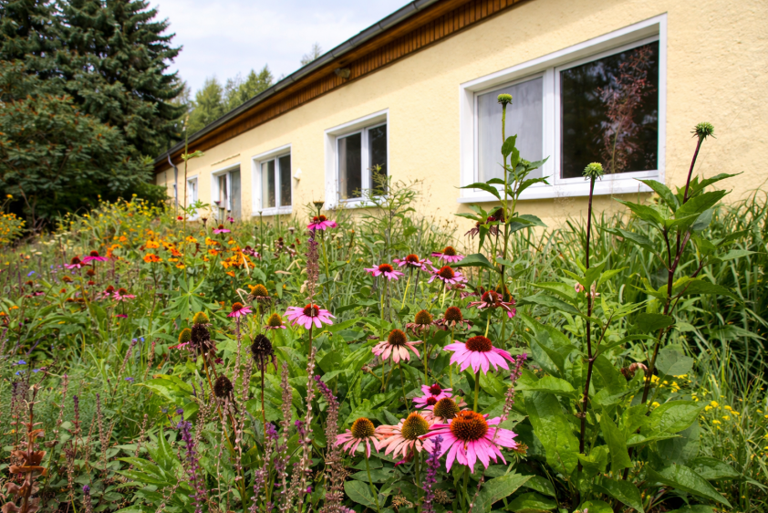 Seitenansicht des Gästehauses, ideal für Gruppen.