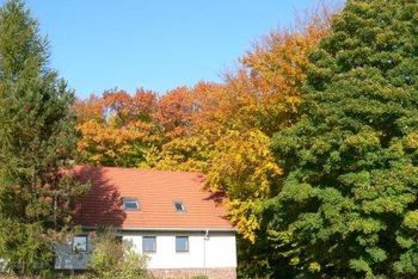 Forsthaus im Sommer