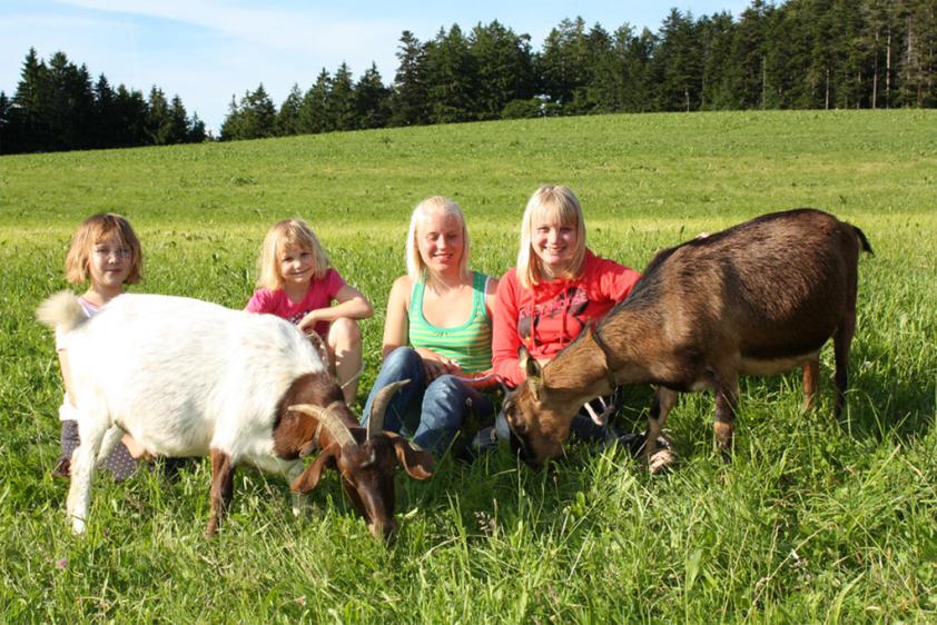 direkter Kontakt mit vielen Tieren