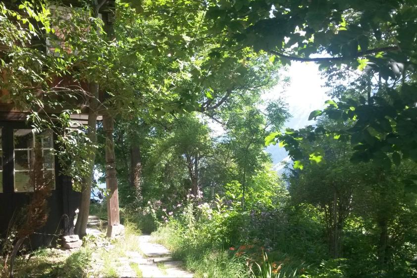 Der wunderschöne Garten