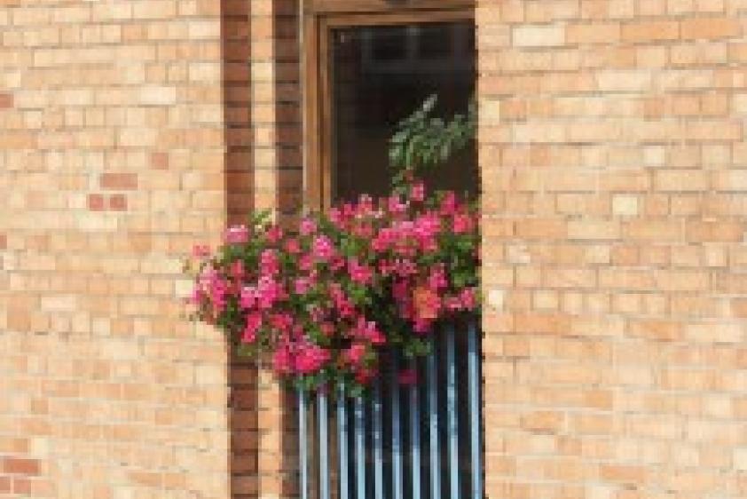 Fenster