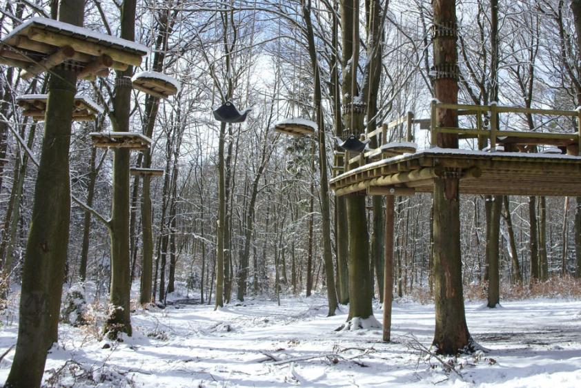 WaldAbenteuer