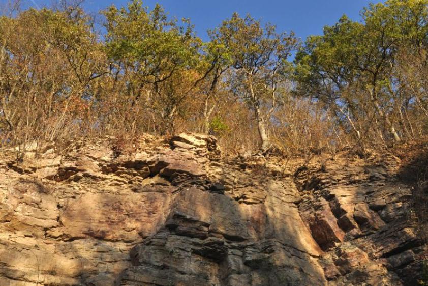Versteinertes Korallenriff an den historischen Werkhäusern