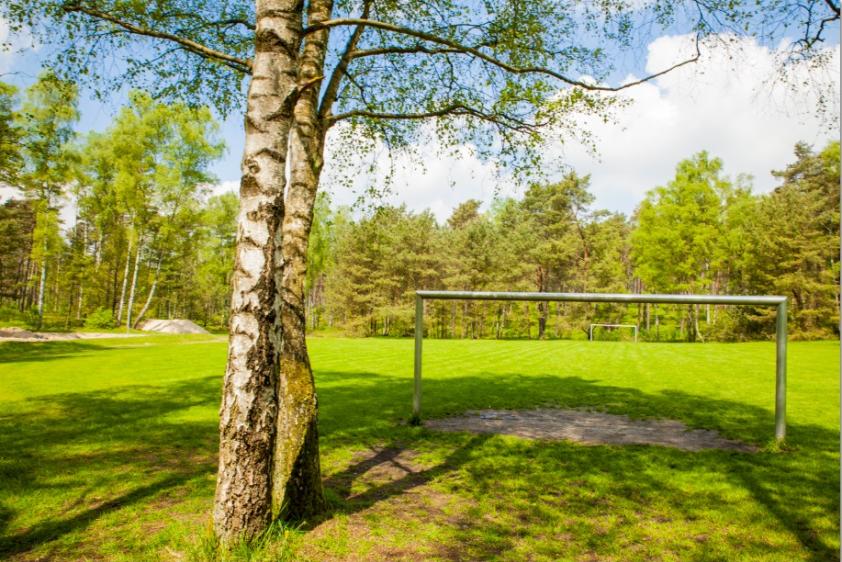 Ein begrünter Sportplatz für alle mögliche Aktivitäten