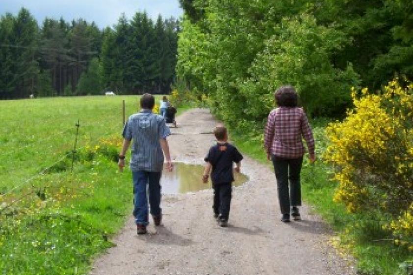 Wandern, Nordic Walking - die Natur wird zum Fitnesstudio.