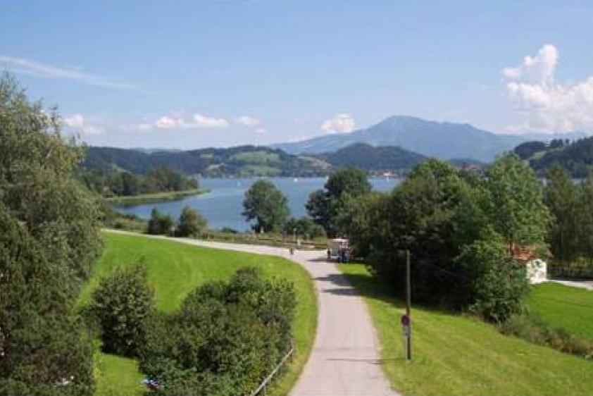Blick vonHaus auf den Großen Alpsee